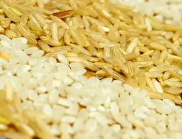 FX №94024  Grain of  rice