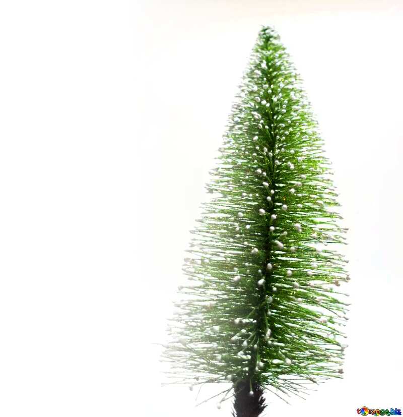 Christmas Tree green  on white background №6614