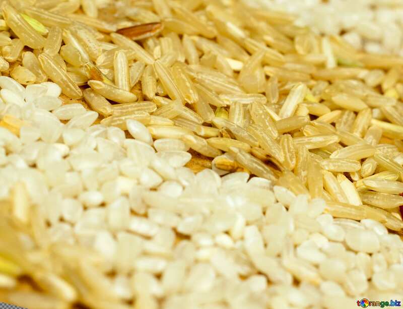  Grain of  rice №7306