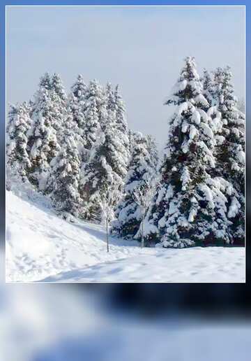 FX №95400 Tree winter card