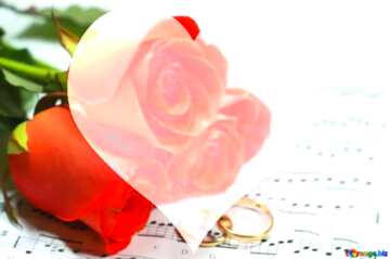 FX №98797 wedding love heart rose