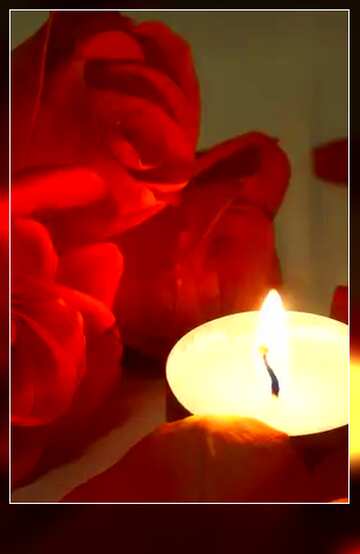 FX №98650 night candle and flowers