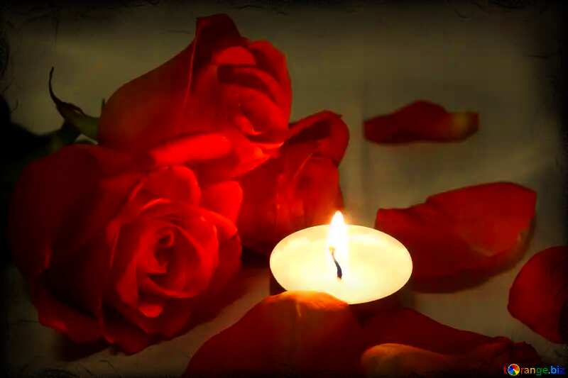 Romantic red roses №7276