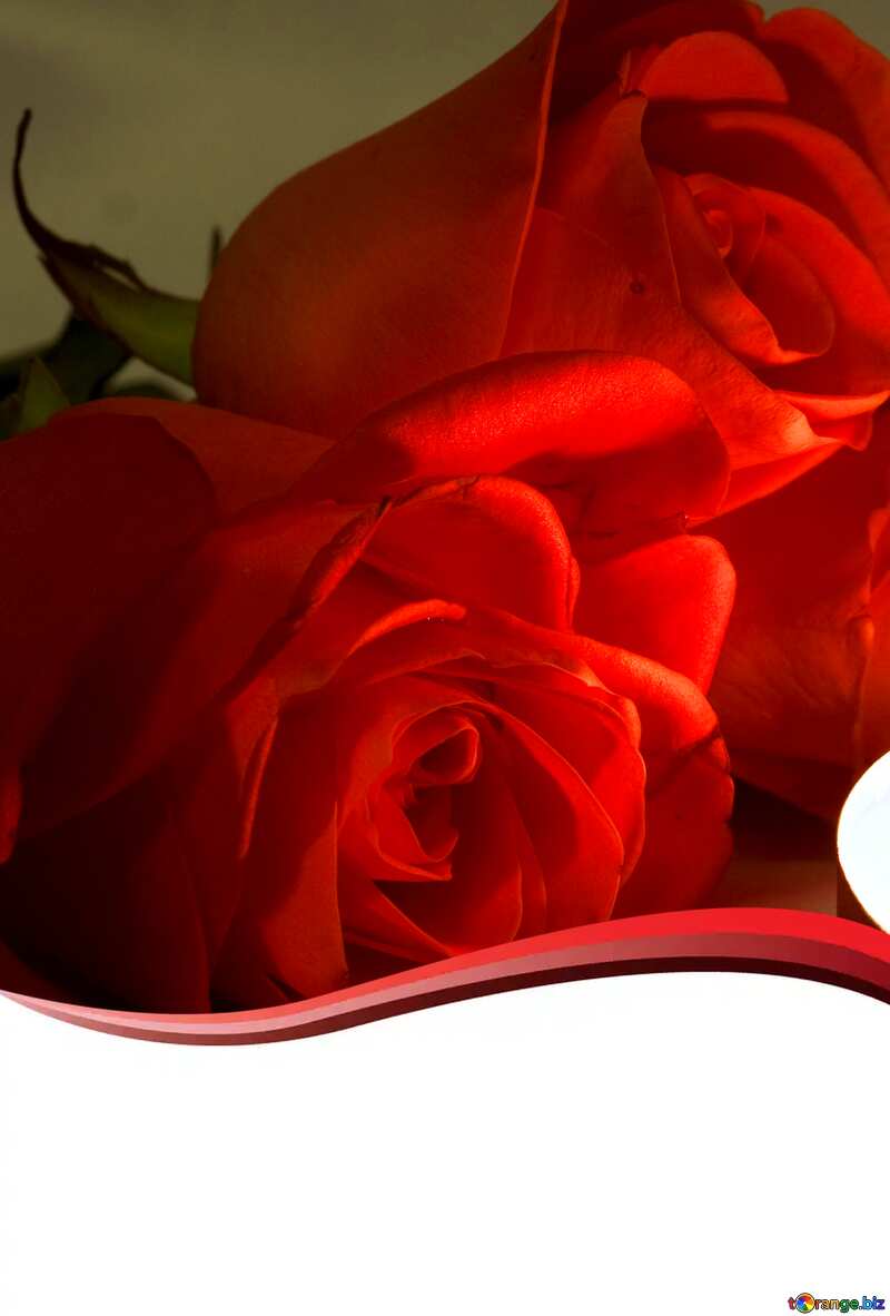  red curved romantic background №7276